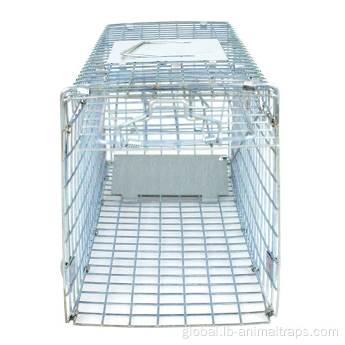 China Animal Large Cage Catcher Cold galvanized Catch Manufactory